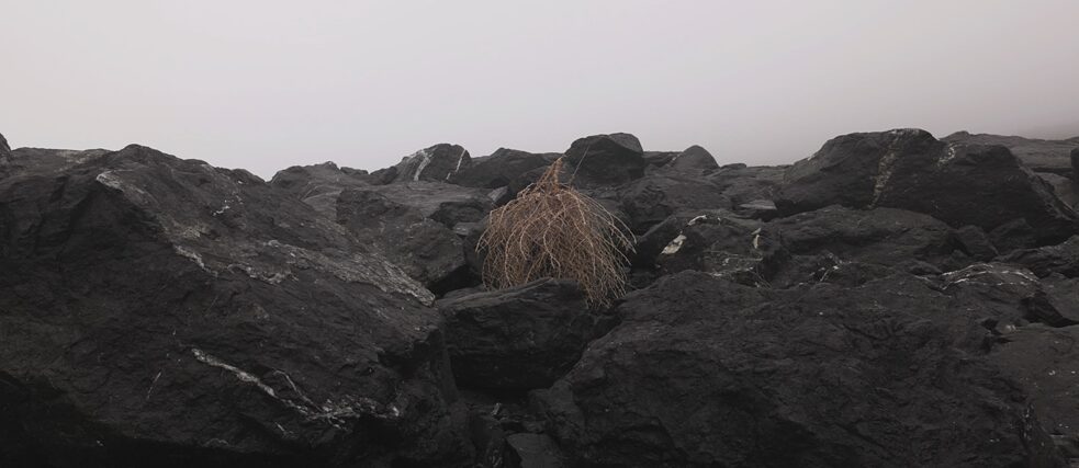 image1_Liu Wa