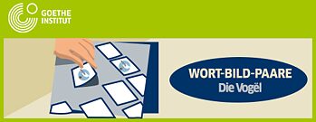 Wort-Bild-Paare – die Vögel