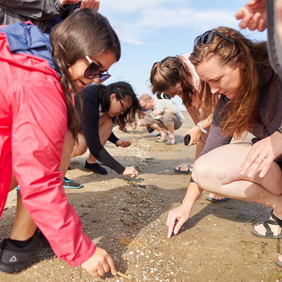 American STEM educators visit the Wadden Sea.