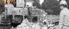Environment concerns in West Germany