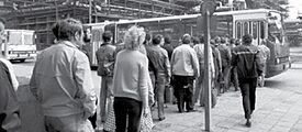 Nachhaltiges Handeln, eine individuelle Entscheidung?  