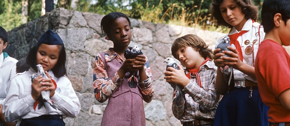  Race and racism