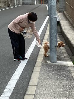 Eine Frau hält ihrem pinkelnden Hund ein Fläschchen vor