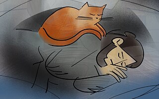 „Tohle je zákryt velkého zrzavého kocoura“