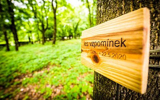 Na přírodním hřbitově v Lese vzpomínek jsou místo klasických náhrobků pouze dřevěné památeční cedulky, které jsou umístěny na kmeny stromů. Každá cedulka nese jméno zesnulého, jehož popel je uložen ke kořenům daného stromu. Tímto můžeme zachovávat původní přírodní ráz krajiny.