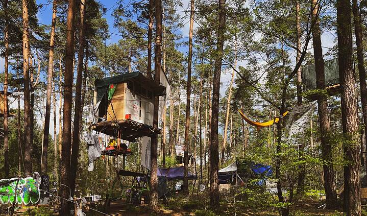 Das Foto zeigt eine Baumhaussiedlung in einem Kiefernforst. Es sind mehrere Holzstrukturen und Hängematten zu sehen.