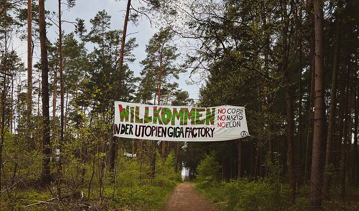 Das Foto zeigt einen Weg in einem Kiefernwald. Ein Banner ist über dem Weg zwischen zwei Bäumen gespannt.