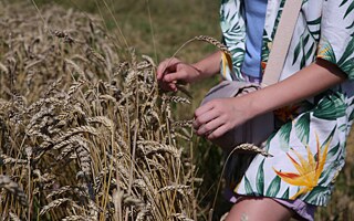 Brot „anbauen“ lernen