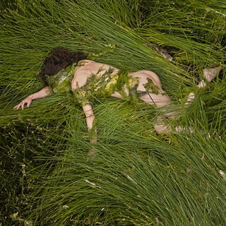 Ein nackter Körper liegt im Gras