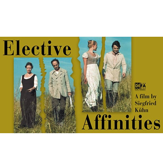 Elective Affinities Poster