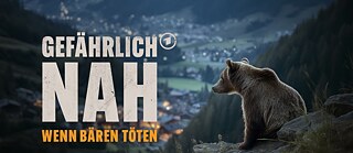 Gefährlich nah · Wenn Bären töten