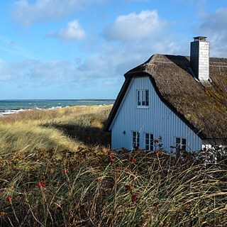 Beach and dunes in Ahrenshoop