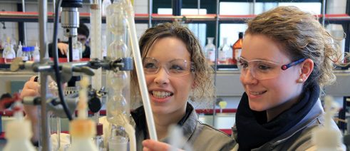 Praktikantin bei Bayer Pharma