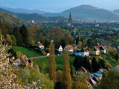View from Herdern