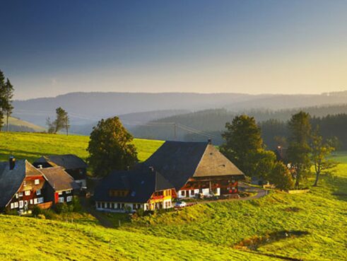 Black Forest