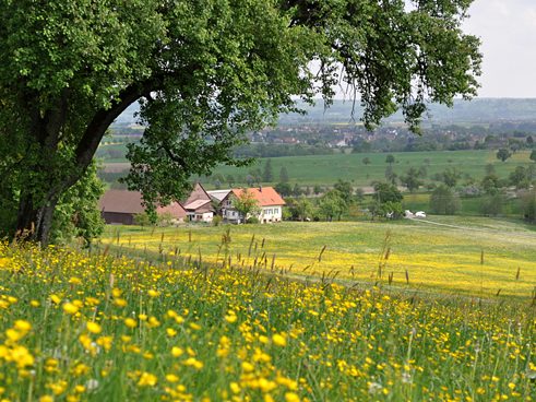 The countryside around Schwäbisch Hall