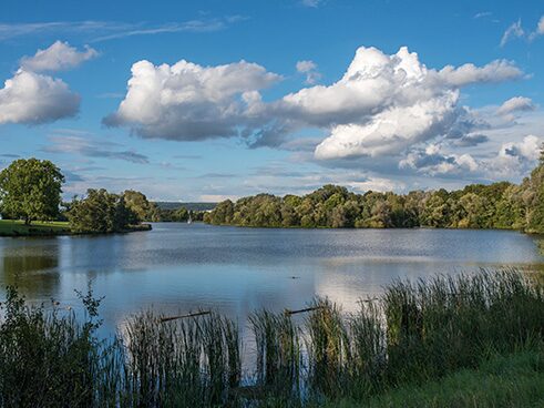 Seenlandschaft