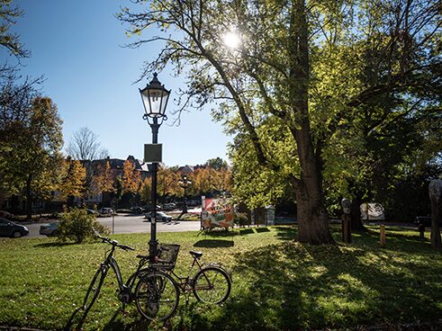 Stadtpark