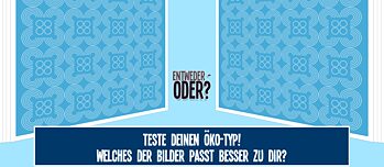 Quiz: Entweder-Oder?
