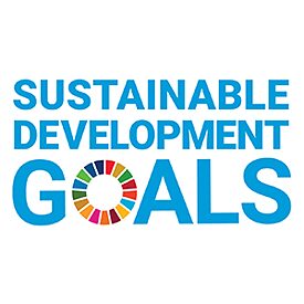 Sustainable Development Goals Logo