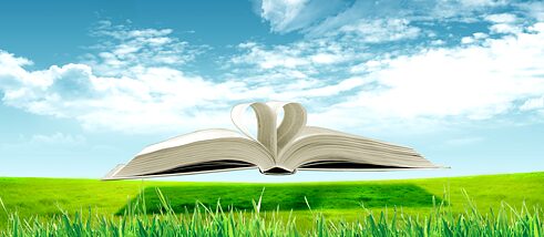 Buch in grüner Landschaft