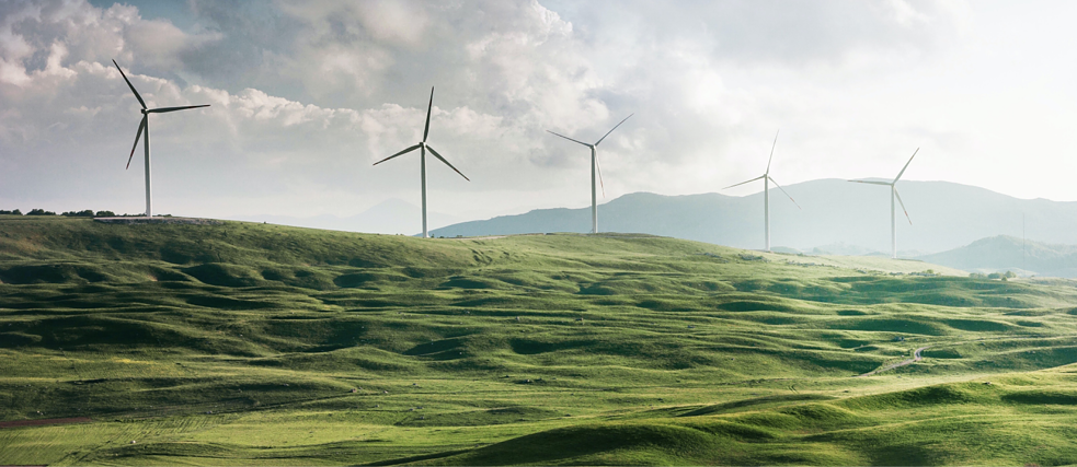 Sustainability Hub