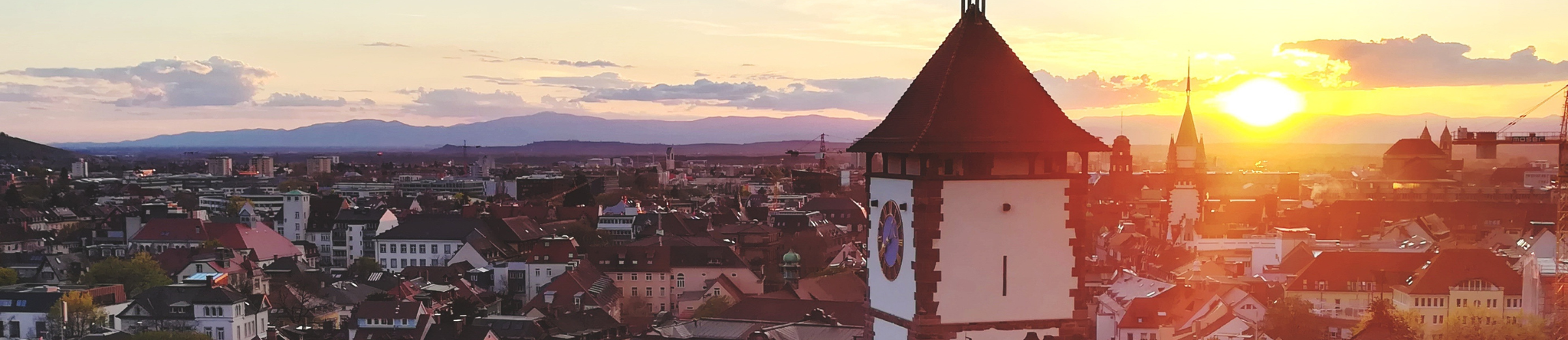 Freiburg Banner Schmal
