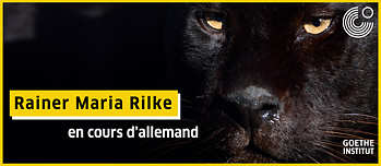 Ein Panther im Hintergrund 