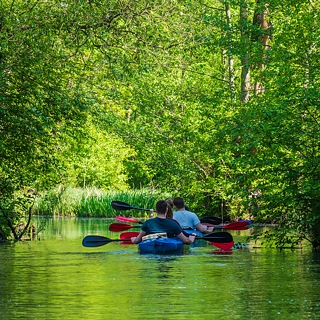 Spreewald'da kano yapan birkaç kişi.