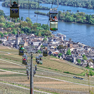 Vista dalla funivia di Rüdesheim sui vigneti e sul Reno.