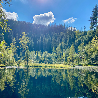 Immagine della Foresta Nera in una giornata soleggiata. Gli alberi si riflettono in un lago.