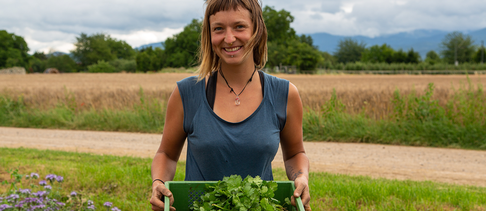 GartenCoop bei Freiburg Die GartenCoop, in der Nähe von Freiburg, ist mit 300 Mitgliedern eine der größten Solawi.