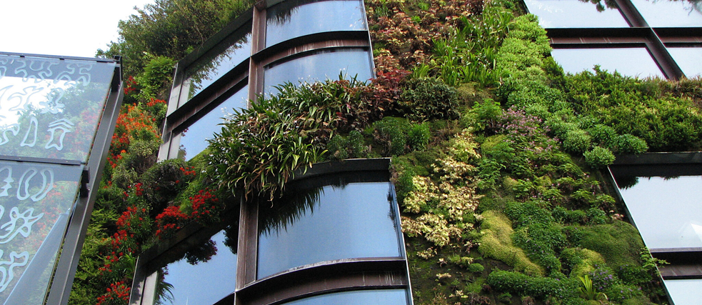 Bepflanzte Wand des Musée du quai Branly - Jacques Chirac